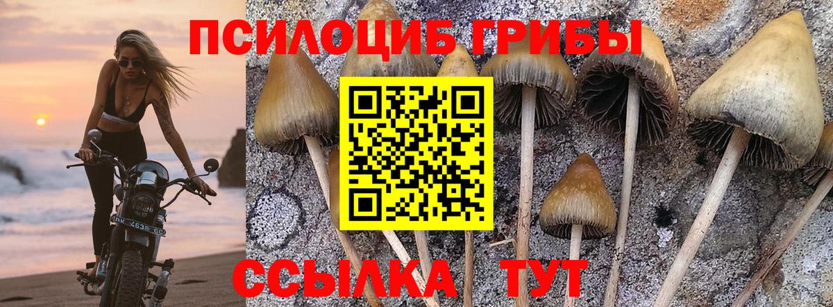 даркнет сайт  Псилоцибиновые грибы Psilocybine cubensis  Вход с VPN  Псилоцибиновые грибы Psilocybine cubensis  Ленинск-Кузнецкий 